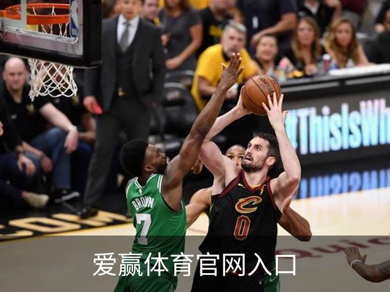 爱赢体育官网入口简介